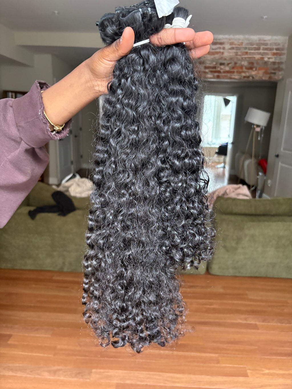 Burmese Curly Hybrid