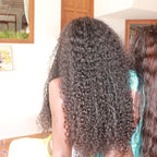 Burmese Curly Hybrid