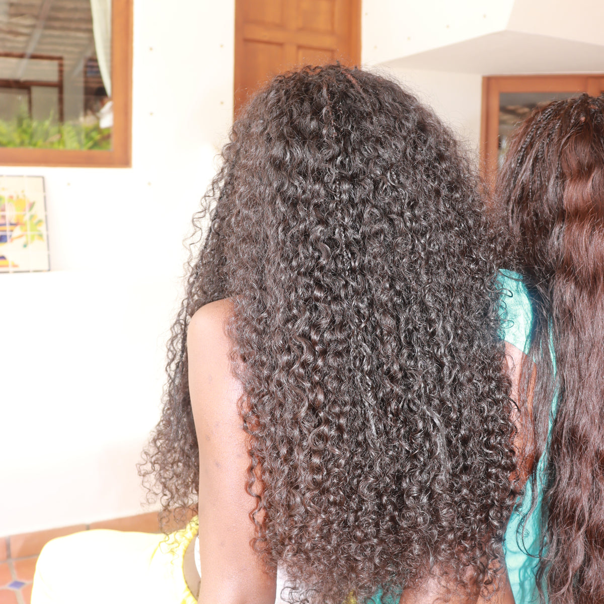 Burmese Curly Hybrid